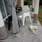 Villa Ambiente