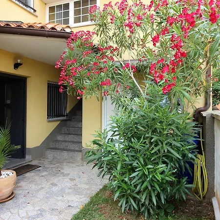 Villa Ambiente 4* Pjescana Uvala