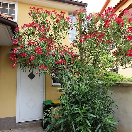 Casa de hóspedes Ambiente